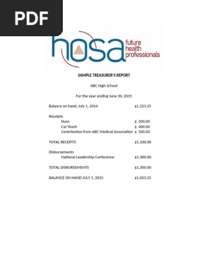 SAMPLE TREASURER Report