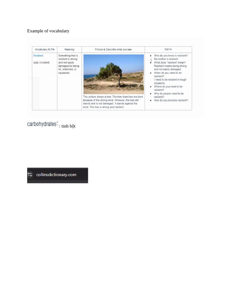 Example of Vocabulary | PDF
