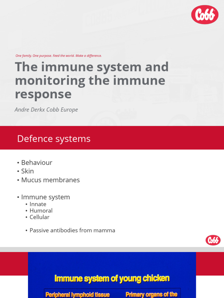 The Immune System And Monitoring The Immune Response Pdf Immune