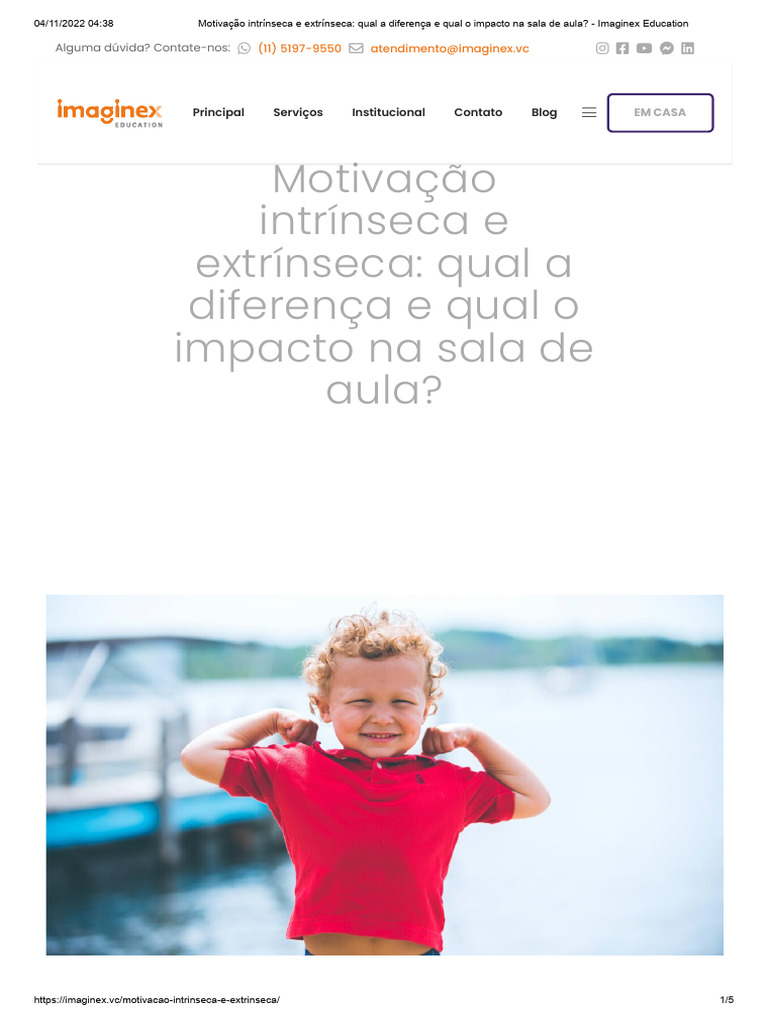 Motivação Intrínseca e Extrínseca - Qual A Diferença e Qual o Impacto ...