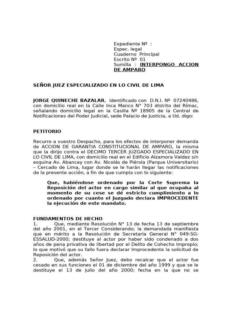 Acción de Amparo contra EsSalud en Lima | PDF | Demanda judicial ...