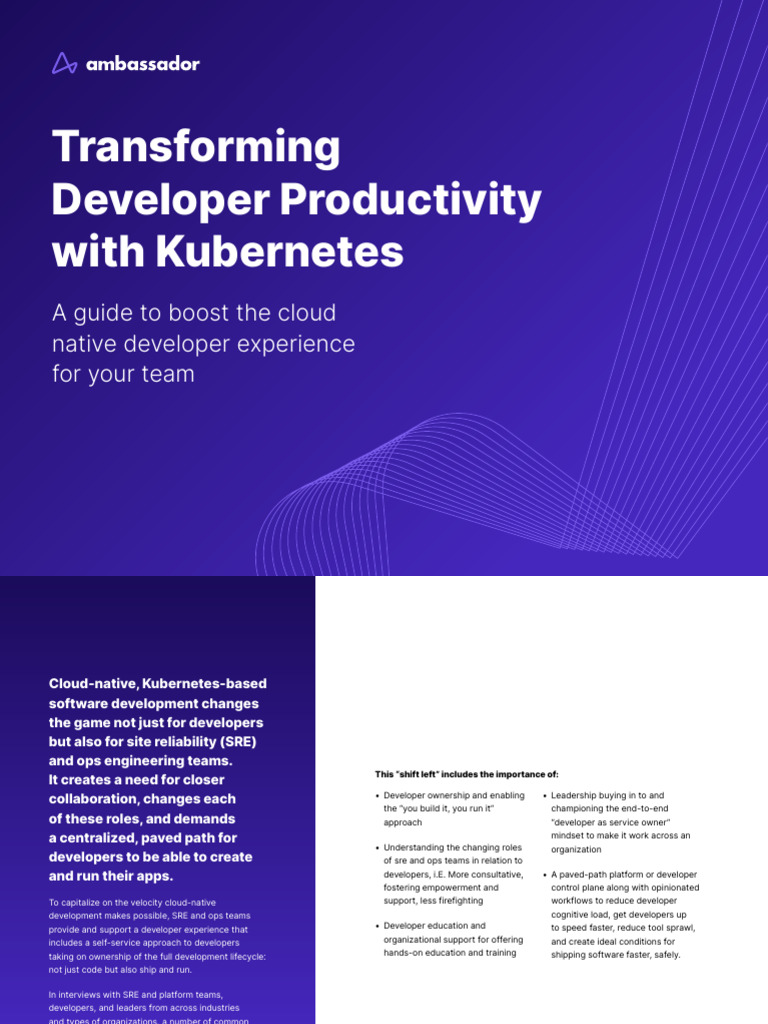 Transforming Developer Productivity Ebook 1 | PDF