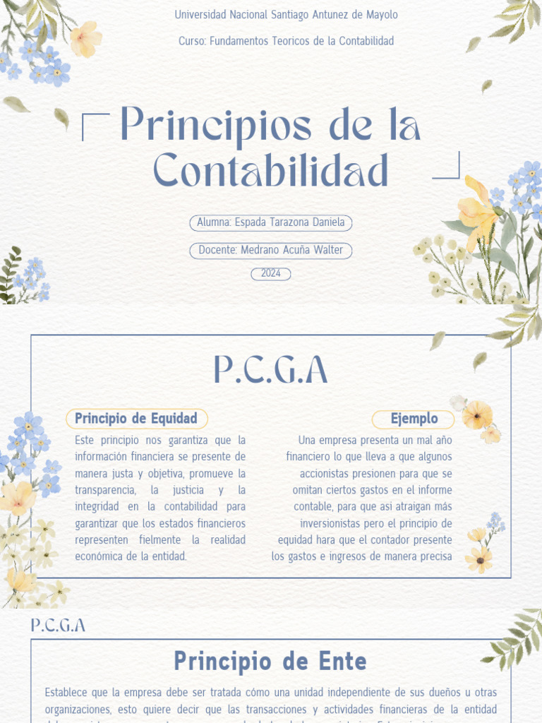 Principios de La Contabilidad | PDF | Contabilidad | Business