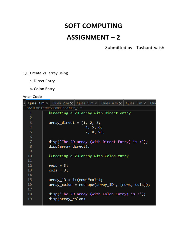 Soft Computing Assignment: 2D Arrays | PDF