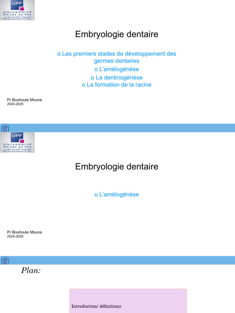 Embryologie dentaire et amélogenèse | PDF | Émail dentaire | Dent