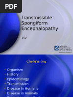 TSE & BSE Risk Regulations | PDF | Diseases And Disorders | Medical ...