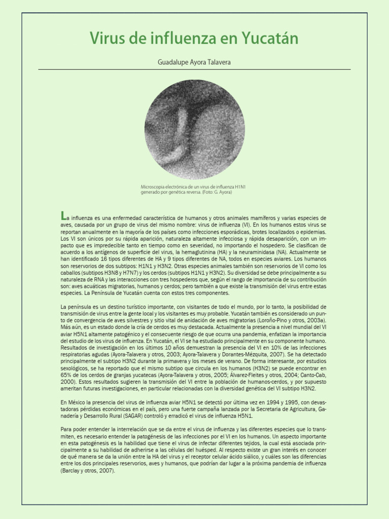 02 Virus de Influenza | PDF | Influenza | Virus de la Influenza A ...