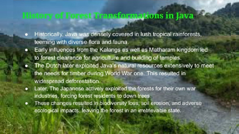 History of Forest Transformations in Java | PDF