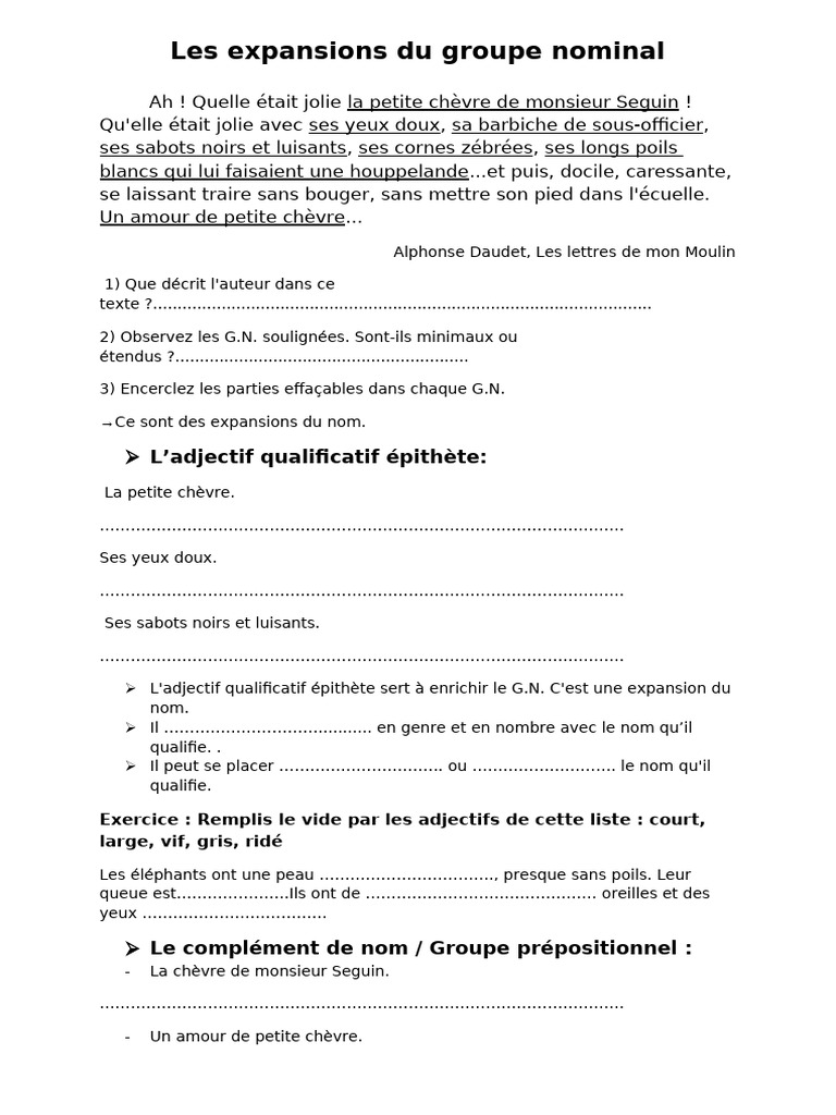 Expansions du groupe nominal | PDF | Mécanique du langage | Morphologie ...