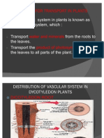 Transport in Plant