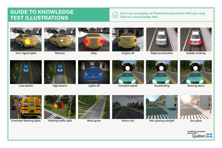 Illustrated Knowledge Test Guide | PDF