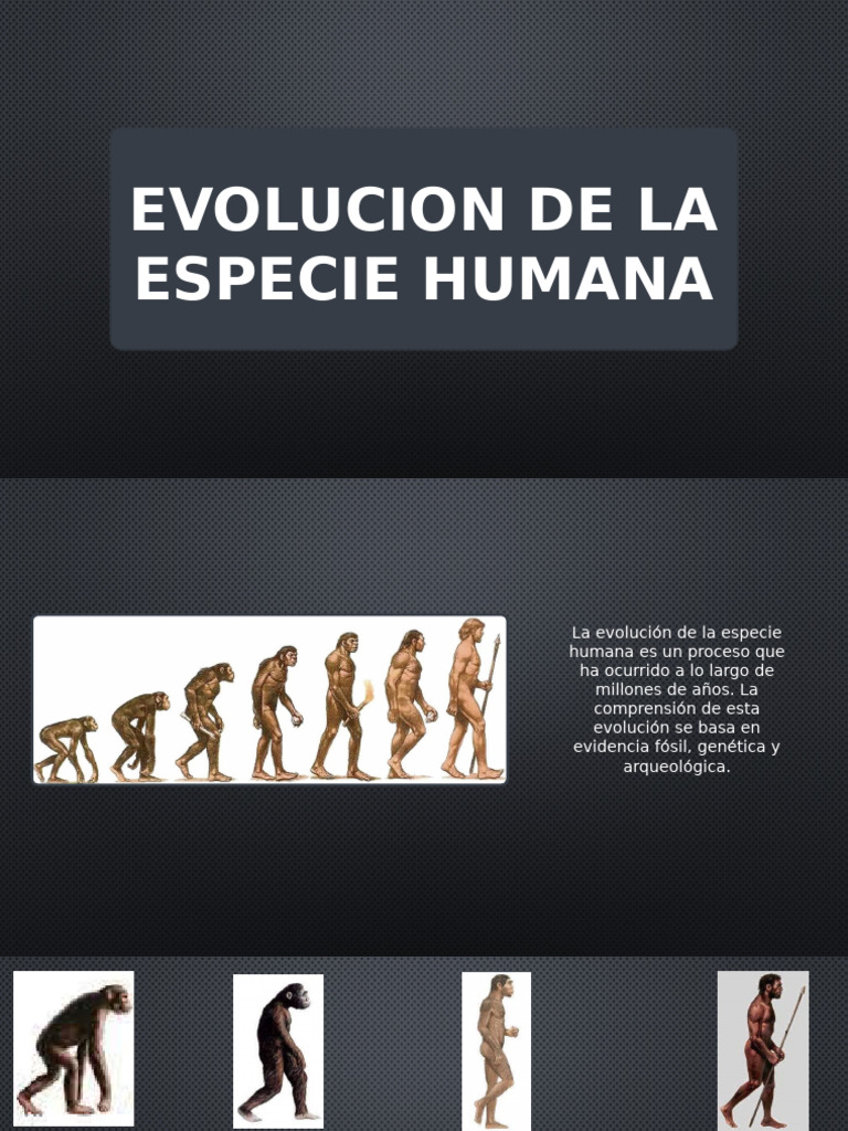 Evolucion de La Especie Humana | PDF | Homo | Evolución humana
