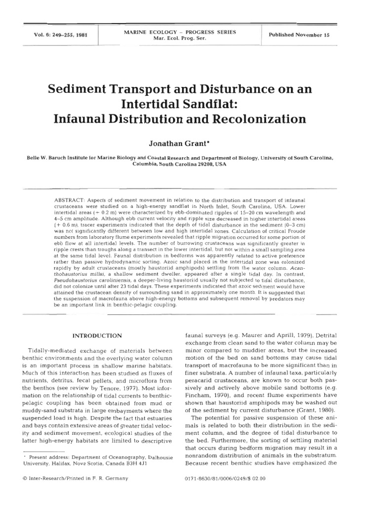 Sediment Transport and Disturbance On An | PDF | Tide | Estuary