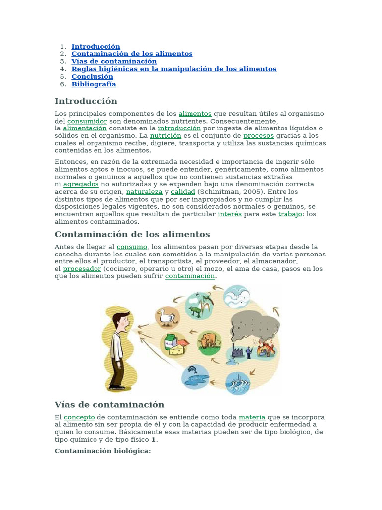 Vías y Prevención de Contaminación Alimentaria | PDF | Alimentos ...