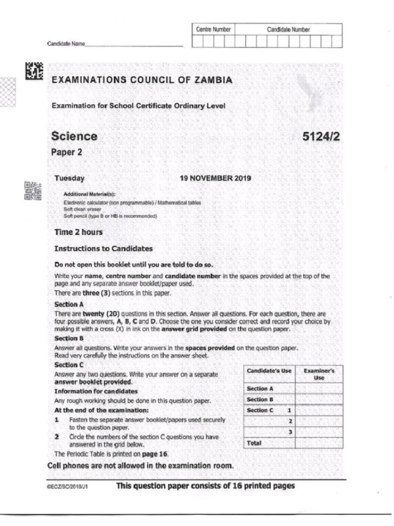 2019 P2 Pdf Young Adult