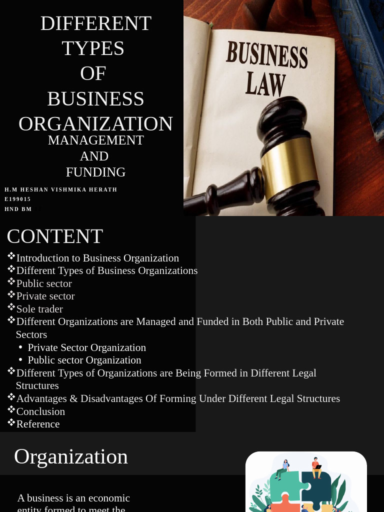 Different Types OF Business Organization: Management AND Funding | PDF ...