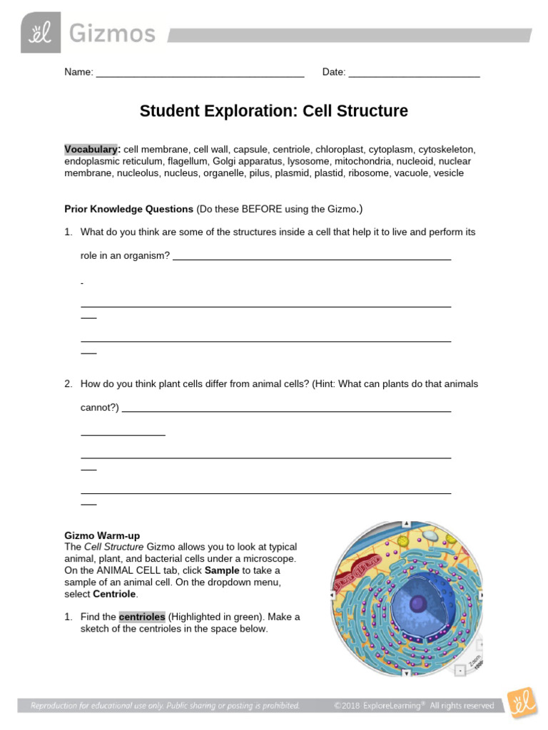 Cell Structure (1) | PDF | Cell (Biology) | Organelle