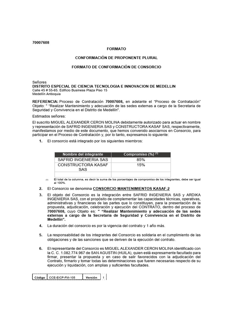 Formato - Conformación de Proponente Plural | PDF | Negocios | Finanzas ...