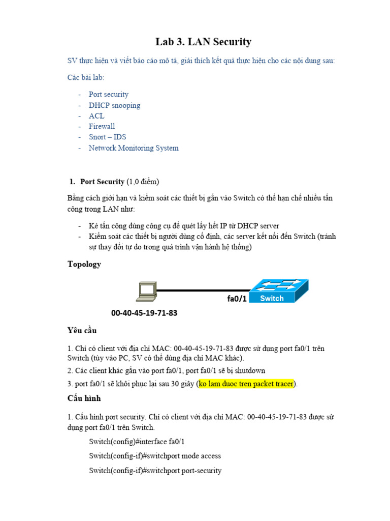 Lab 3. LAN Security | PDF