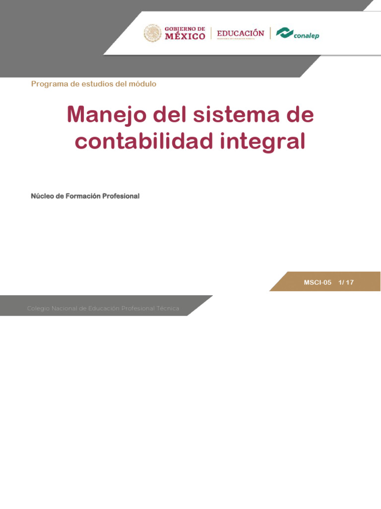 Msci 05 Pe | PDF | Contabilidad | Comunicación