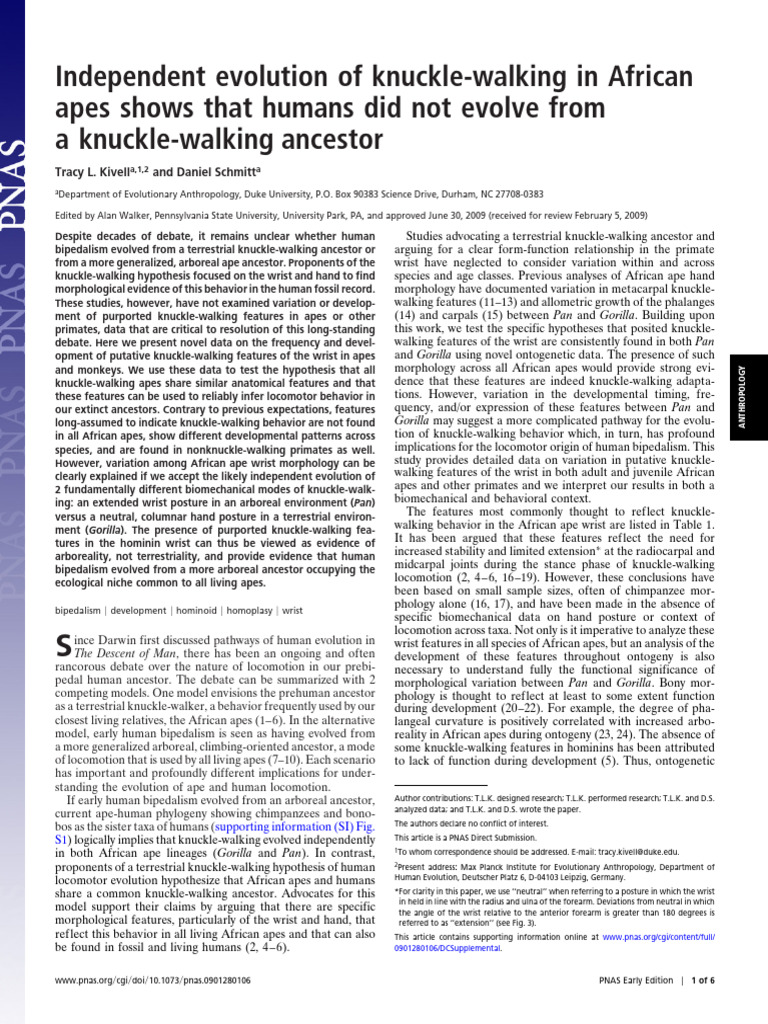 Natures Ingenious Design The Science Behind Knuckle Walking - 7r4me17
