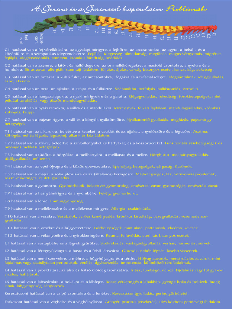 Gerinc | PDF