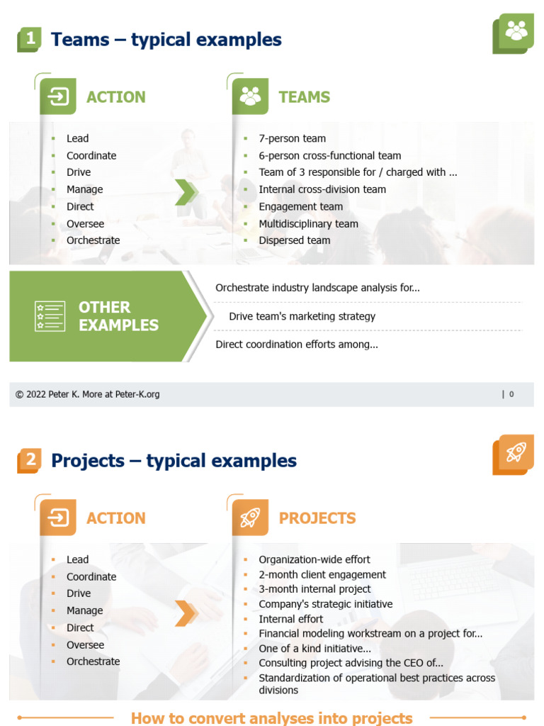Team and Project Management Examples | PDF