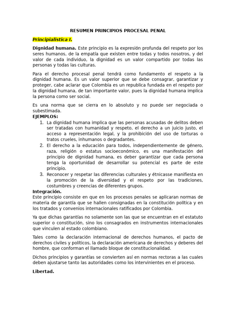 Principios del Derecho Procesal Penal | PDF | Debido al proceso ...