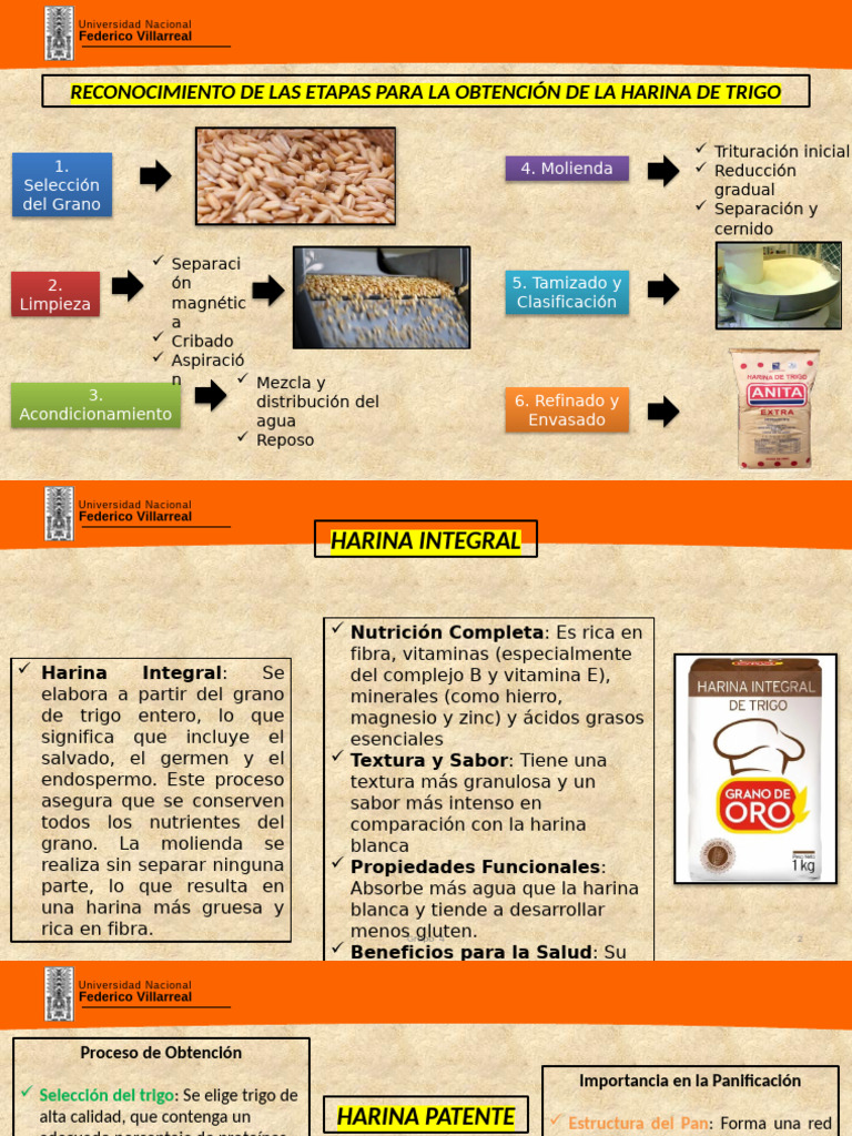 Proceso y Beneficios de la Harina de Trigo | PDF | Cereales | Panes