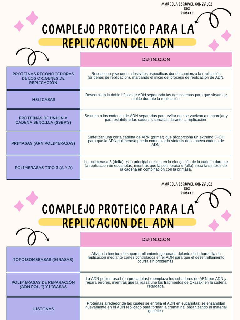 Enzimas y Proteínas en la Replicación de ADN | PDF | Replicación De Adn ...
