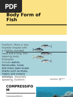 Local Fish Names in Tagalog | PDF | Recreational Fishing | Fish