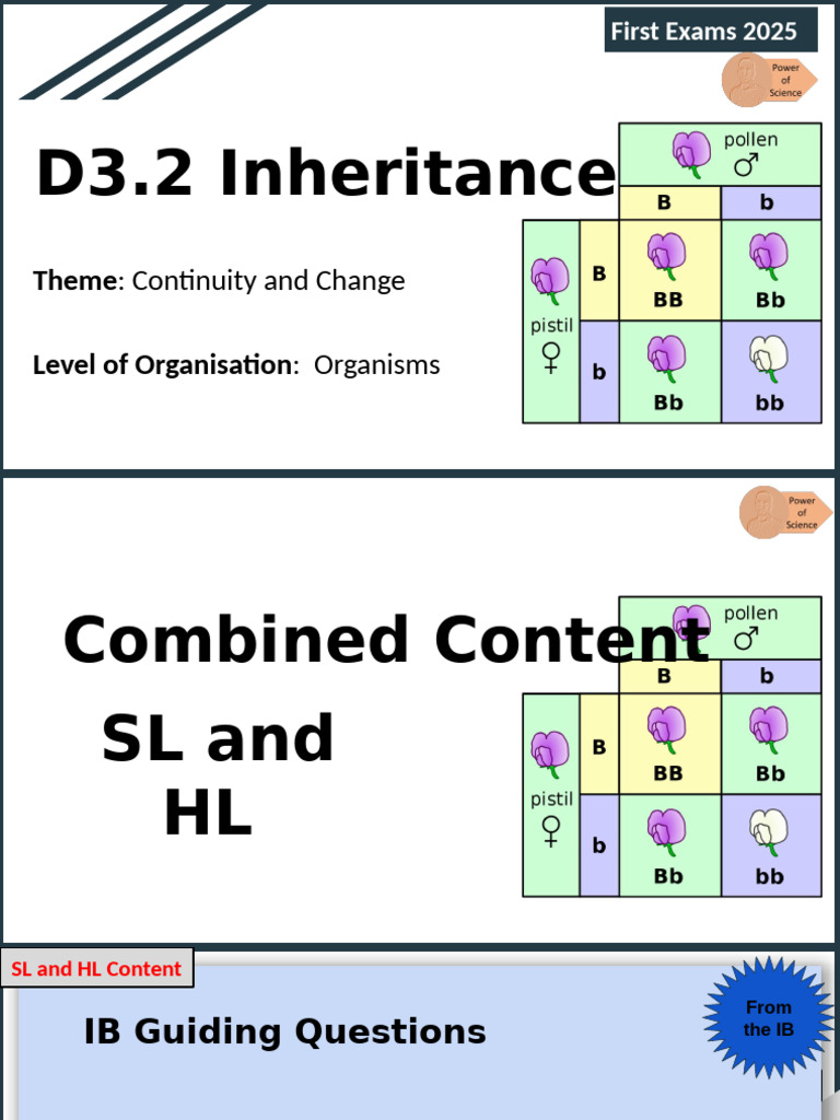 Pea Plant Inheritance Patterns | PDF | Dominance (Genetics) | Genotype