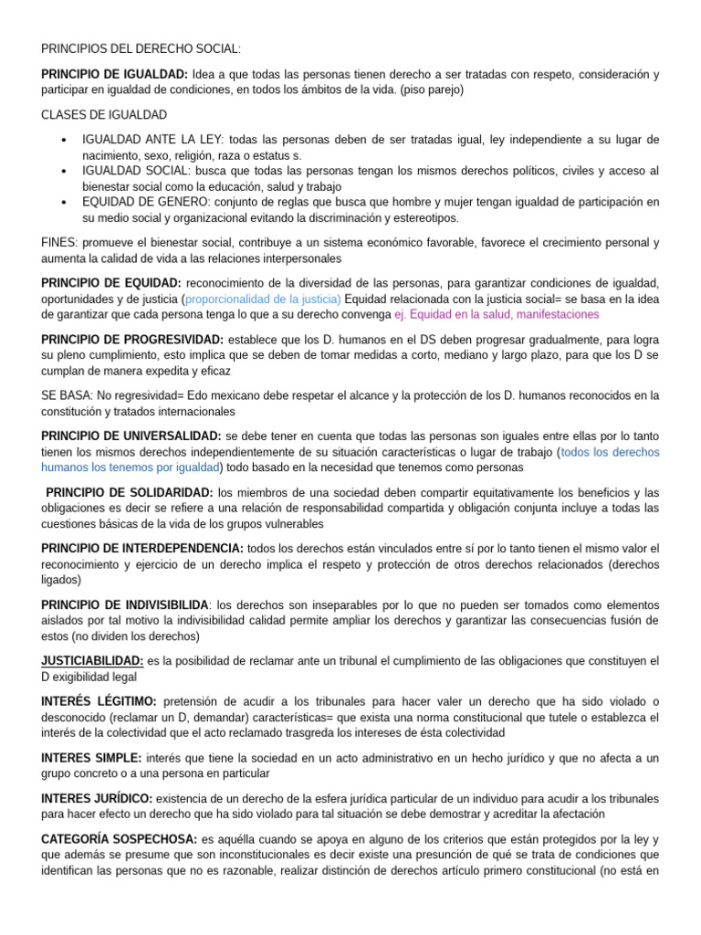 Principios del Derecho Social y Derechos Humanos | PDF | Igualdad ...