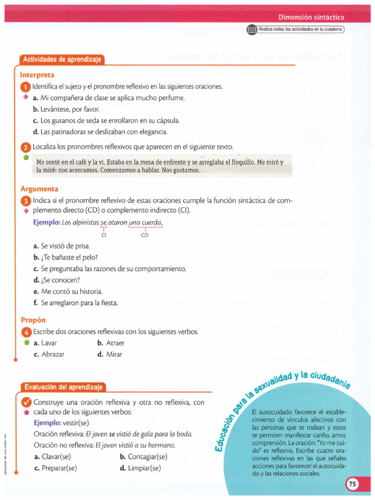 Actividad Oraciones Reflexivas | PDF