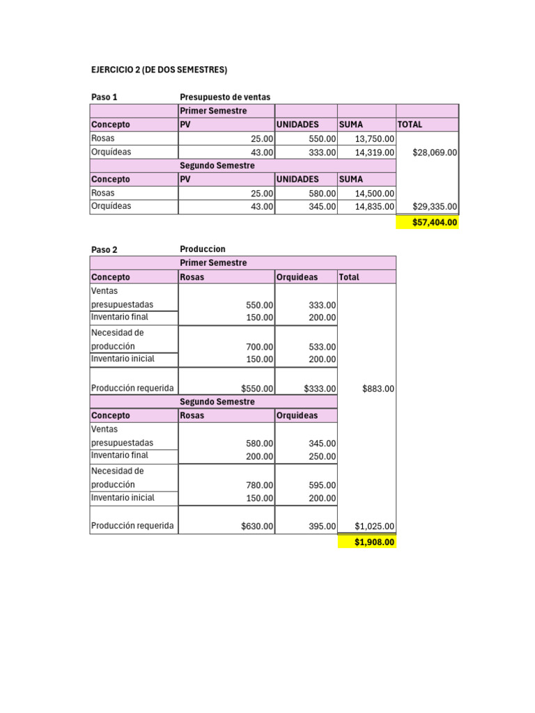 Presupuesto de Ventas y Producción 2023 | PDF | Presupuesto | Economias