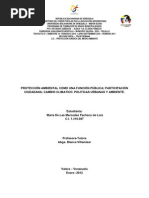 Download PROTECCIN AMBIENTAL COMO UNA FUNCIN PBLICA PARTICIPACIN CIUDADANA CAMBIO CLIMATICO POLITICAS URBANAS Y AMBIENTE by Iris Pacheco SN79202178 doc pdf