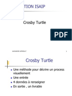 Crosby Turtle