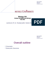 Lecture #12 - Eukaryotic Gene Expression I