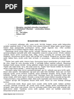 Ukrainaning Nikolaev viloyati, Voznesensk shahridagi fohishalar