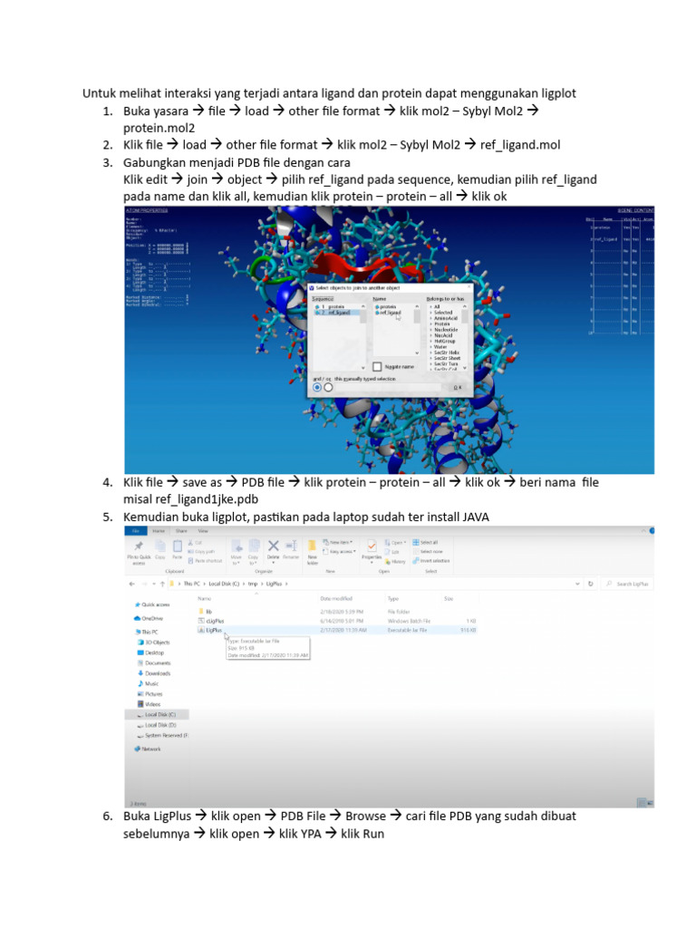 Panduan Ligplot untuk Analisis Interaksi Ligand-Protein | PDF | Sains ...