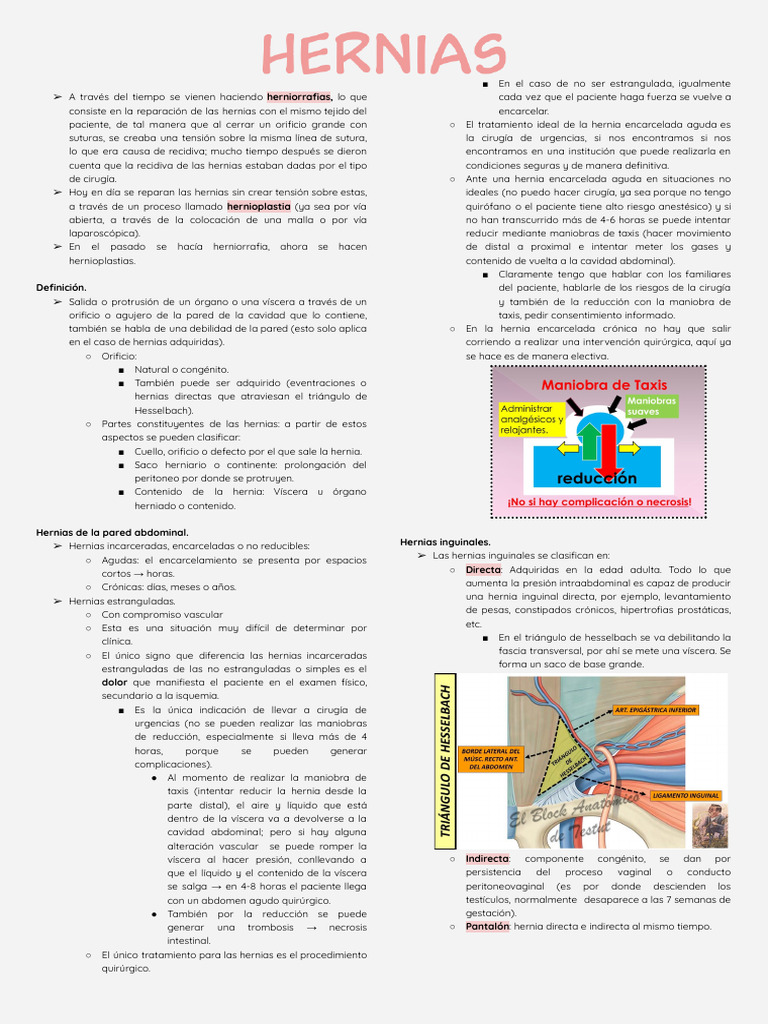 Hernias | PDF | Abdomen