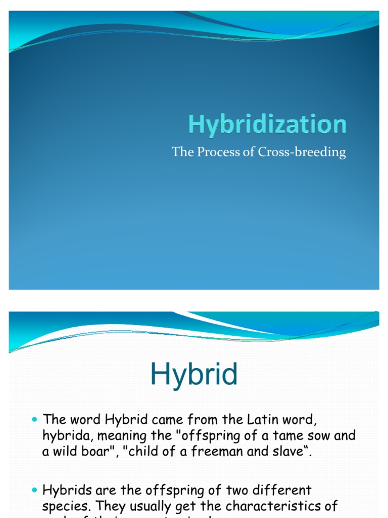 assignment on hybridization pdf