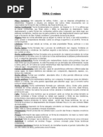 Vocabulario relevo