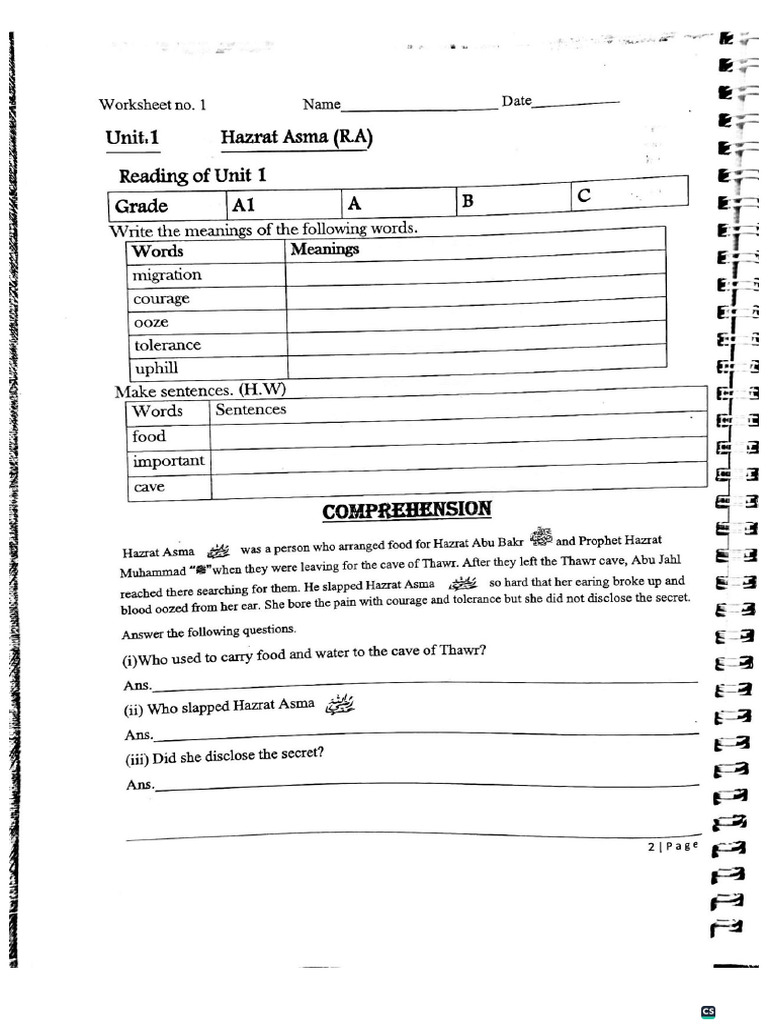 First Term Folder English | PDF