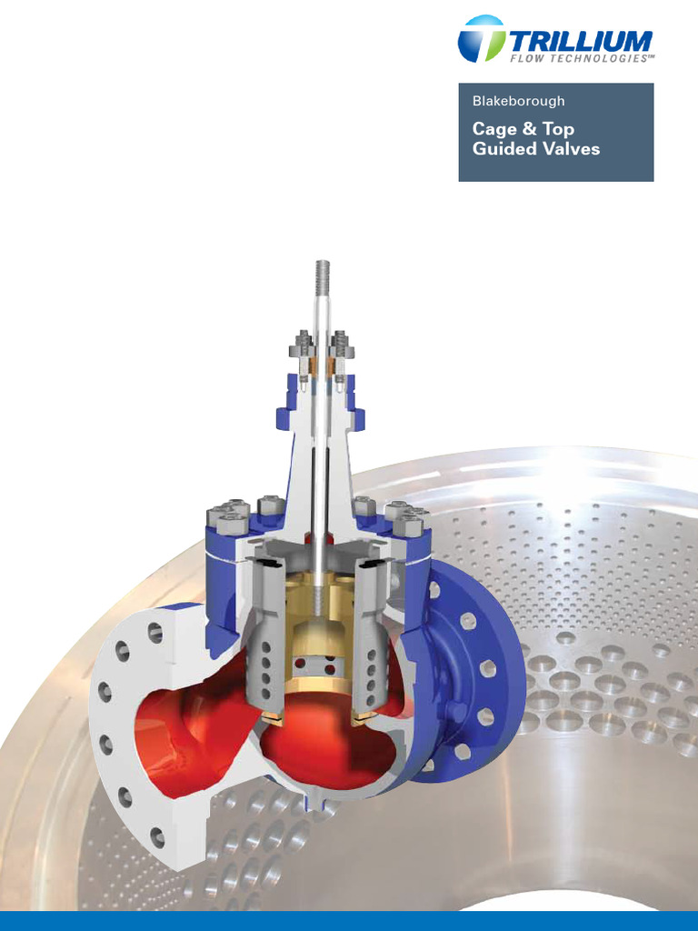 globe/tour 2002～category trance,categor… Neles™ RotaryGlobe™ control valve, series ZX | Valmet