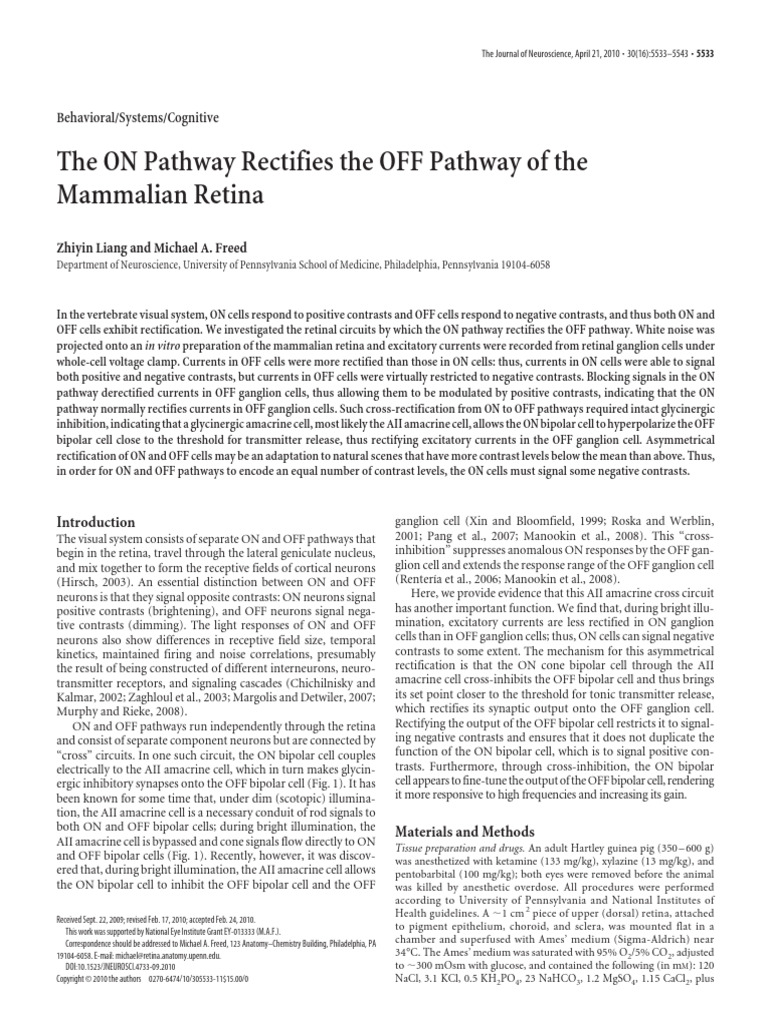 The ON Pathway Rectifies The OFF Pathway of The Mammalian Retina | PDF ...