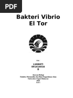 Download Bakteri Vibrio El Tor by Lhia Icarus SN79215741 doc pdf