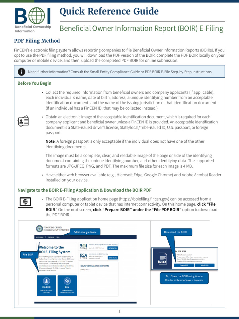 BOIR E-Filing Quick Reference Guide | PDF | Computing | Software