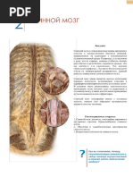 Шұлықтағы эротикалық фотосуреттер