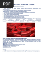 Жас порно, тыйым салынған порно